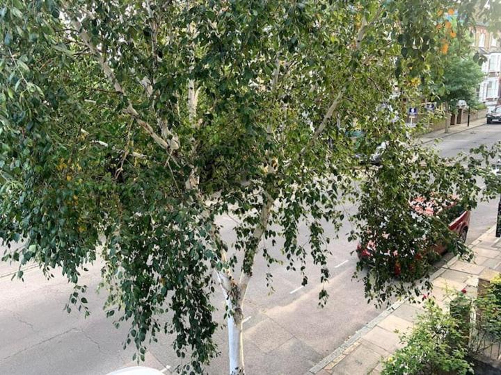 Lovely Spacious 1-Bedroom Flat In Tufnell Park Close To Central Londres Exterior foto